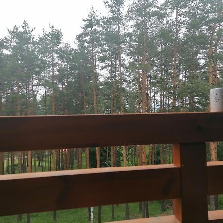 Apartman Nele Zlatibor Dış mekan fotoğraf