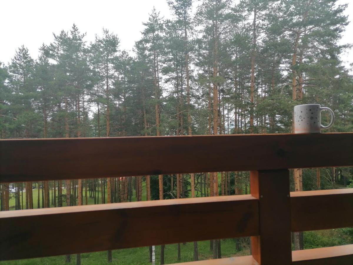 Apartman Nele Zlatibor Dış mekan fotoğraf